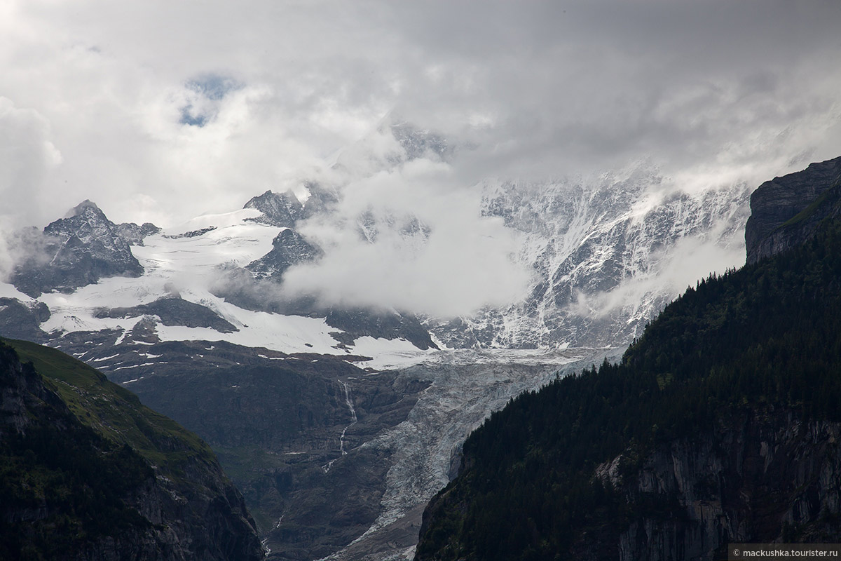 First, Grindelwald